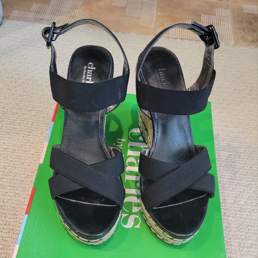 Charles by Charles David Platform Sandals
